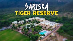 Sariska Tiger Reserve Safari with Eagle Safaris - 4K Video Hindi | हिन्दी