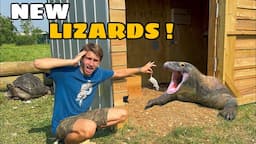 SETTING UP MY $20,000 LIZARDS !