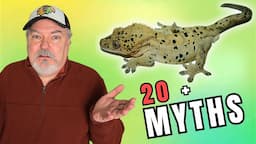 Crested Geckos Myths that will harm your pet!     #crestedgecko