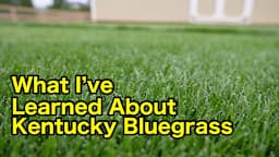 Kentucky Bluegrass What I’ve Learned