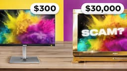 $30,000 vs. $300 Grading Monitor - SCAM or REAL?