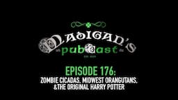 Madigan's Pubcast Episode 176: Zombie Cicadas, Midwest Orangutans & The Original Harry Potter