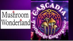 Cascadia Psychedelic Convergence- Fungi Festival Documentary