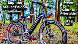 Euphree Stellar Falcon Ebike Review - This electric bike has some amazing features!