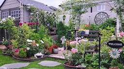 Tiny Backyard Garden Tour Plants and Flowers  #garden #gardening #gardentour #plants #flowers #new