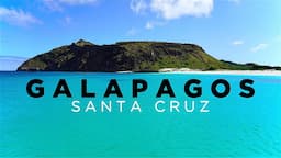 GALAPAGOS: ISLA SANTA CRUZ - Travel Guide to ALL SIGHTS and ISLANDS in 4K