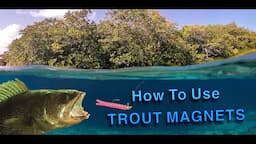 DO TROUT MAGNETS WORK? - catch more fish