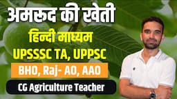 अमरूद की खेती- UP-TA, UPPSC, Raj-AAO, Agriculture Supervisor, Raj-AO, CG Ag Teacher, AFO, UK-AAO