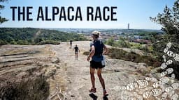 The Alpaca Race // Getting ready for UTMB