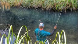 NEW ZEALAND FLY FISHING AT ITS BEST!!