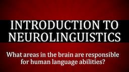 Neurolinguistics in Linguistics - Neurolinguistics Language and Brain -  Language Parts of the Brain