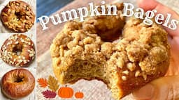 Pumpkin Spice Bagels 4 Ways | Easy New York Style Bagel Recipe | No Stand Mixer