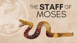 Chaos and Order: The Staff of Moses #exodus