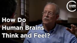 Eran Zaidel - How Do Human Brains Think and Feel?