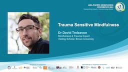 Trauma Sensitive Mindfulness | Dr David Treleaven