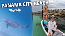 Swim with DOLPHINS! 🐬 St. Andrews State Park | Panama City Beach, Florida