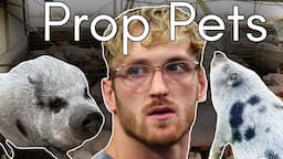 Logan Paul’s Pigs: The Tragic Truth Behind Pets Used for Clout