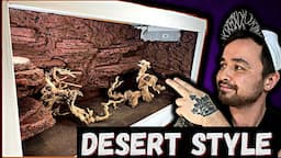 DIY Reptile Background Desert Style