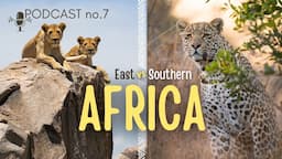 East Africa vs Southern Africa | The Safari Shots Podcast Ep.7