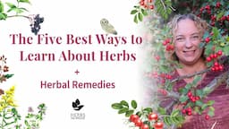 Five Best Ways to Learn About Herbs + Herbal Remedies