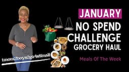 January NO Spend Challenge  ||  $20 Grocery Haul  ||  What's For Dinner Using Freezer Staples  ||