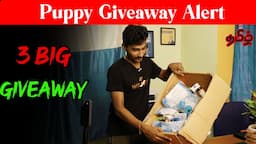 MEGA GIVEAWAY - All Dog Products in Half Price  Tamil