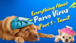 Parvo Virus - A detailed explanation Part-1