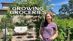 The Garden is Exploding with GROWTH! Early June GARDEN TOUR