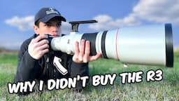 Canon R3, R5, and R6 - Does It Make a Difference? (ft. Watts Wildlife)