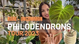 💚 My Philodendron Collection | RARE and Uncommon | 2023 💚