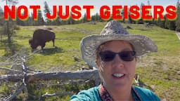 Go West!  Ep. 4 - Yellowstone