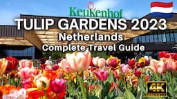 🇳🇱 Keukenhof Gardens 2023 | Tulip Garden Netherlands - Complete Travel Guide #keukenhof #tulipgarden