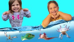 Kid Fun Video at the kids museum! Real life, baby Axolotl! We TOUCHED a STING RAY!