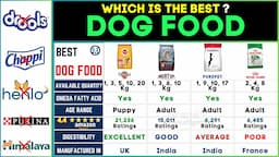 🐾 Best Dog Food Brands 2024: Pedigree vs Meatup vs Purepet vs Royal Canin - Top Dry Dog Foods!