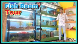 😍 My Fish Room Tour With All Fish or Pets Update 😍 Guppy Breeding, Hamster Baby, Monster Fish Turtle