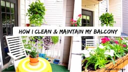 My Balcony Cleaning & Maintenance || Plant Care || बारिश में बालकनी की सफ़ाई और देखरेख ।