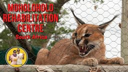 Moholoholo Animal Rehabilitation Centre, South Africa, Hoedespruit #wildlife