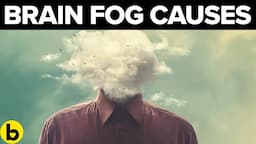 9 Potential Causes Of Brain Fog You Should Not Ignore