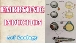 Embryonic Induction | Acf Zoology | Zoology | UPSC ZOOLOGY | Bsc Zoology | NEETZOOLOGY | MSc Zoology