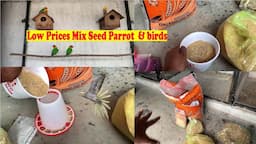 How To make Mix Seed its Home Low Prices Rs 60 Kg... Budgies Parrot And love Birds Nd cockatiel