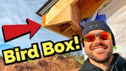 How To Build A Bird Box For Soffit On A House