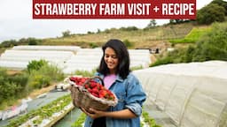 Strawberry Farm Visit + Delicious Dessert Recipe With The Fresh Strawberries 🍓 || Infinity Platter