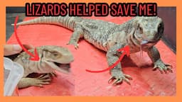 THIS SAVANNAH MONITOR LIZARD HELPED SAVE ME! REPTILES!