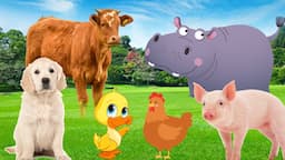 Happy Farm Animals - Cow, Duck, Dog, Pig, Chicken - Animal Sounds