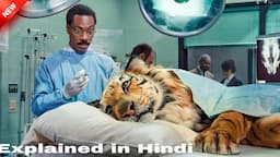 A Doctor Performs a Surgical Procedure on a Tiger while the Tiger is awake. #explainerrohit