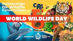 50th Anniversary of CITES: World Wildlife Day 2023 | Partnerships for Wildlife Conservation