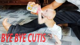 Compilation of adorable baby monkey cutis moments before dad leaves?