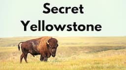 15 ways to escape the crowds in Yellowstone!