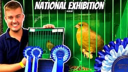 Stafford National Exhibition 2023 - Bird Show