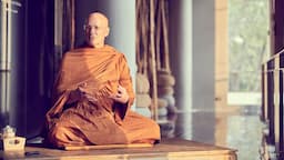 50 Years as a Monk Reflections | Luang Por Pasanno